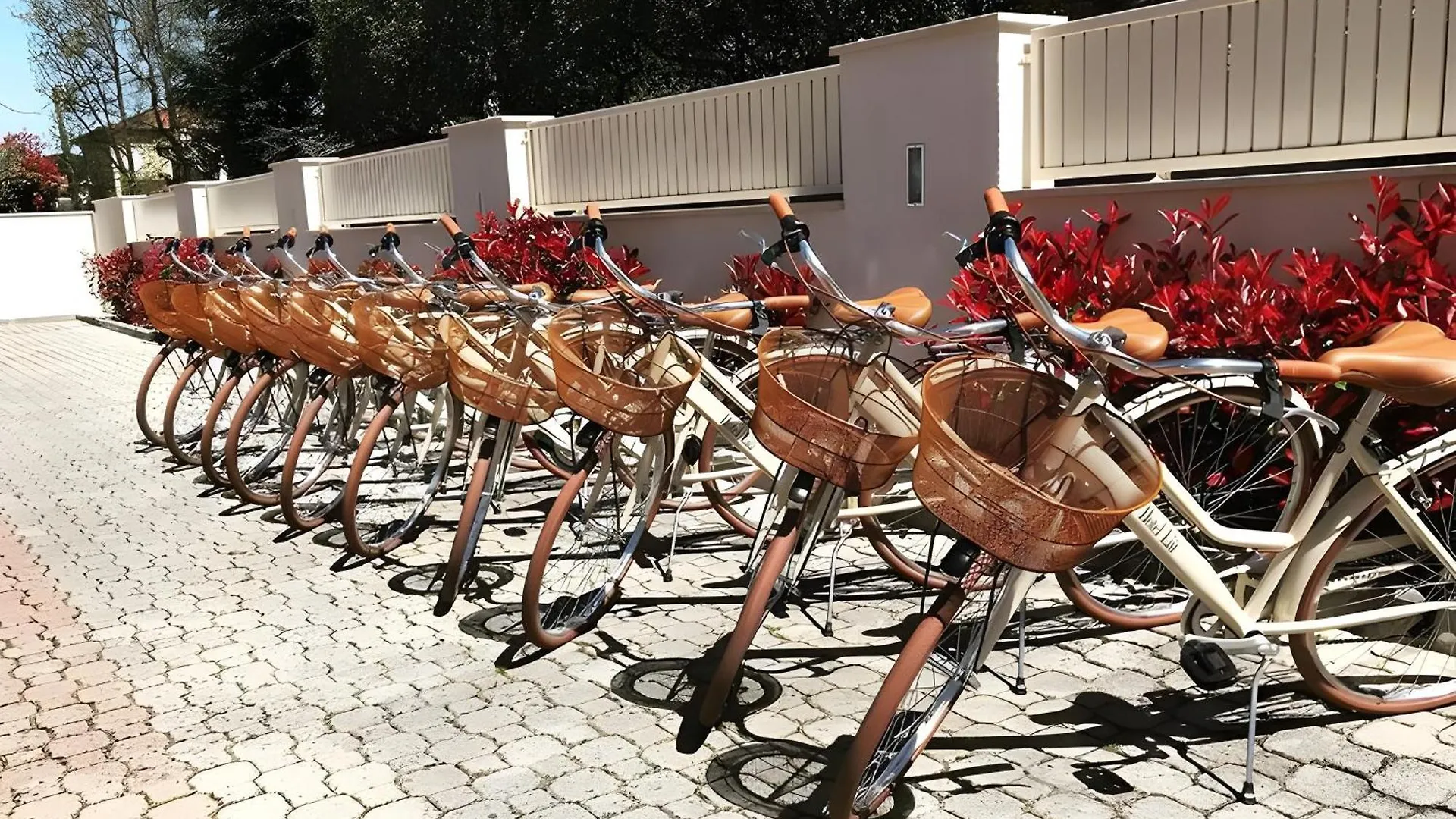 Hotel Liu Lido di Camaiore